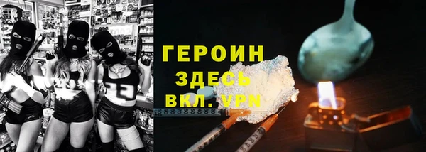 spice Инта