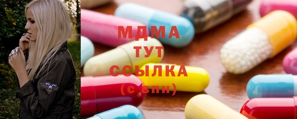 spice Инта