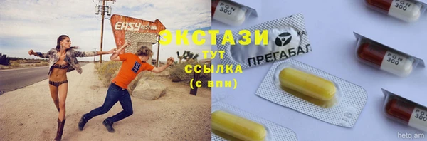 spice Инта