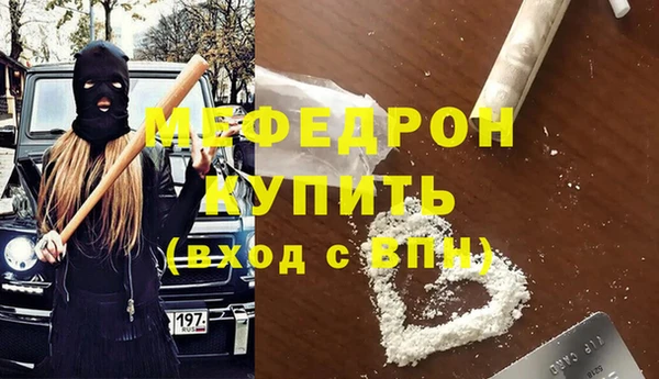 spice Инта