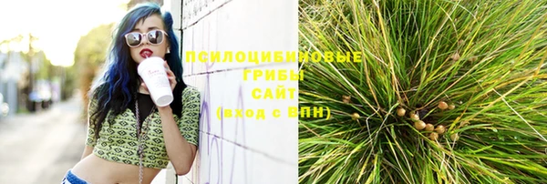 кокаин колумбия Каменногорск