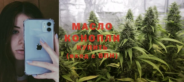spice Инта