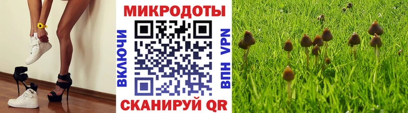 Купить закладки  Зима  Галлюциногенные грибы ЛСД 