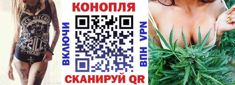 Купить  Зима  Шишки марихуана White Widow 